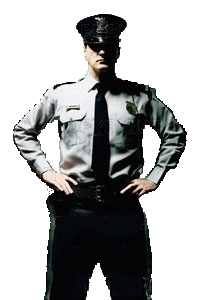 Security Services Manufacturer Supplier Wholesale Exporter Importer Buyer Trader Retailer in Greater Noida Uttar Pradesh India